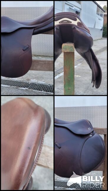 Prestige  Braun, Prestige X-Perience, Georgina , Jumping Saddle, Riedstadt, Image 7