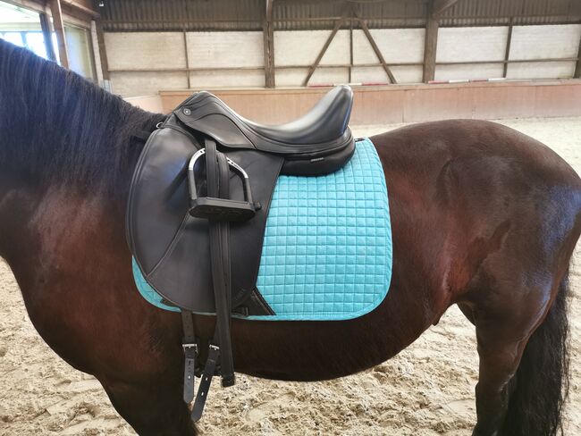 PRESTIGE BRILLANTE AS X 17 /33, PRESTIGE  BRILLANTE AS X 17 /33 , Ute Wischtukat , Dressage Saddle, Niederkrüchten