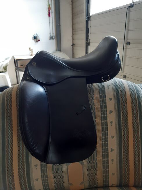 Prestige D1 iceland x Technologie, Prestige  D1 iceland , Doris , Icelandic Saddle, Reinfeld