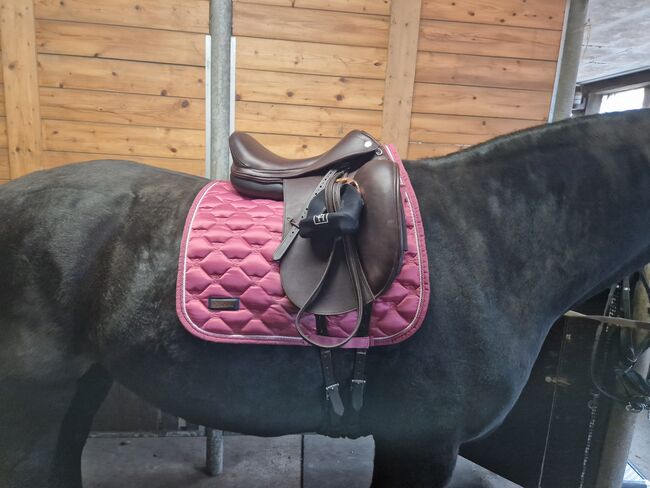 Prestige D2 SC D Tabacco Dressursattel, Prestige  D2 SC D , Kris, Dressage Saddle, Munster , Image 7