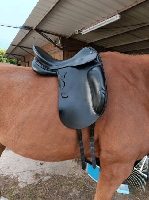 Prestige Doge 17/30, Prestige Doge, Kathrin Ruppert, Dressage Saddle, Münster