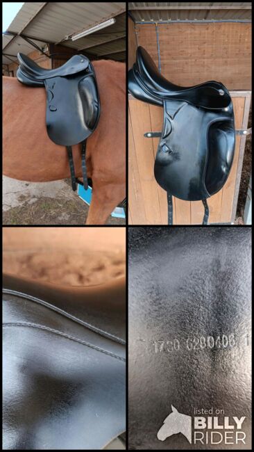 Prestige Doge 17/30, Prestige Doge, Kathrin Ruppert, Dressage Saddle, Münster, Image 7