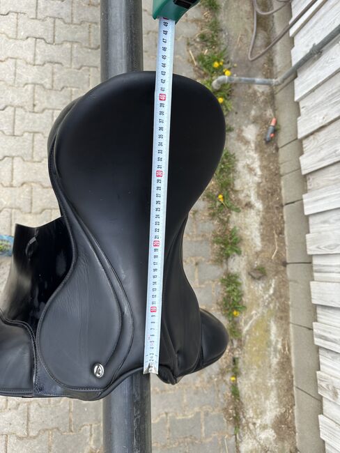 Prestige Doge 18/33 von 09/2015, Prestige  Doge, Eva Rösch, Dressage Saddle, Augsburg, Image 11