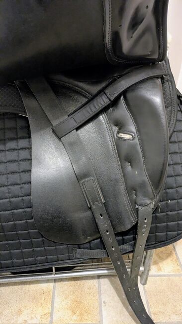 Prestige Dressursattel Doge, Prestige Doge, Constanze, Dressage Saddle, Walldorf, Image 3