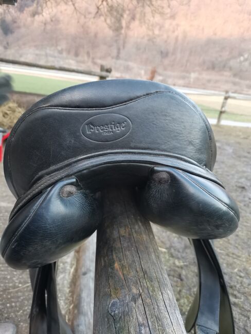 Prestige Sattel Doge, Prestige Doge, Susanne Wimmeder , Dressage Saddle, Esternberg 