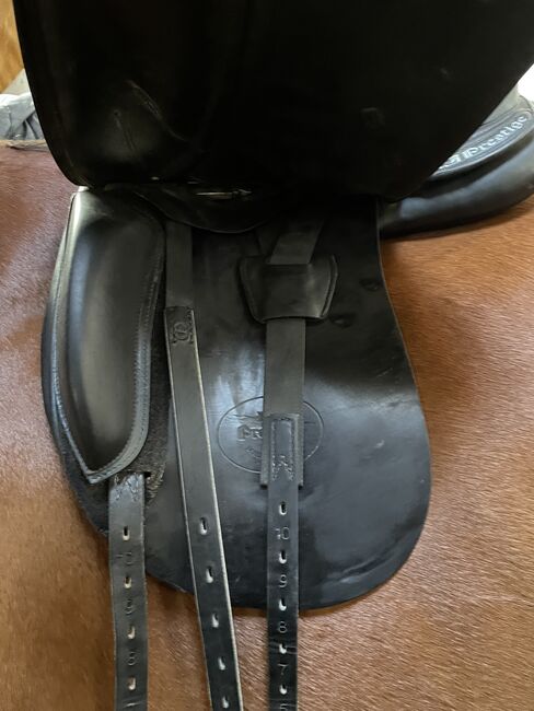 Prestige Dressursattel 17 zoll 33 kw, Prestige  Venus Style, Leonie Ertl, Dressage Saddle, Amberg, Image 4