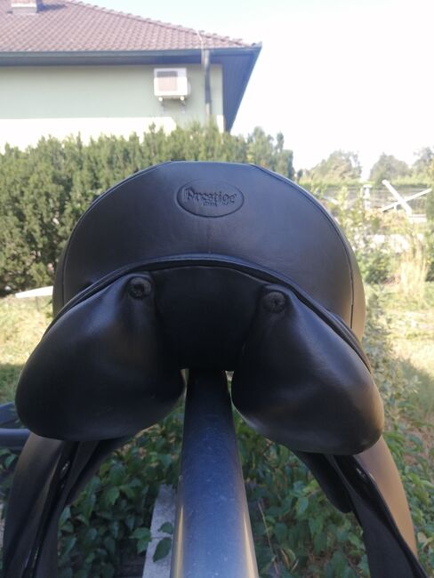 Prestige Dressursattel Doge Classic, Prestige Doge Classic, Ulli, Dressage Saddle, Ebreichsdorf , Image 6