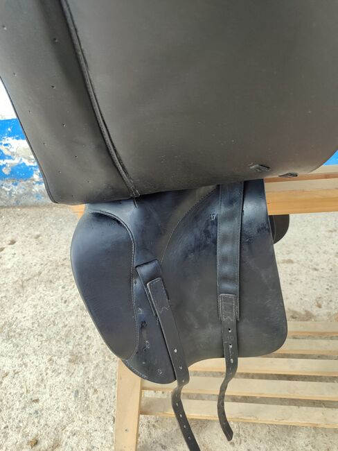 Prestige Dressursattel, Prestige , Lina H., Dressursattel, Rockenhausen, Abbildung 3