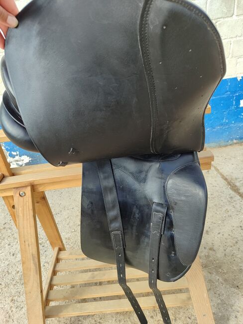 Prestige Dressursattel, Prestige , Lina H., Dressursattel, Rockenhausen, Abbildung 2