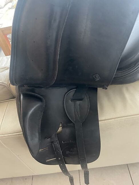 PRESTIGE DRESSUR SATTEL. 16.5 Zoll, Ella, Dressage Saddle, Glarus, Image 2