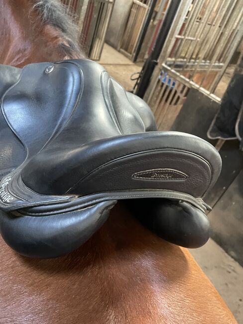 Prestige Dressursattel 17 zoll 33 kw, Prestige  Venus Style, Leonie Ertl, Dressage Saddle, Amberg, Image 7