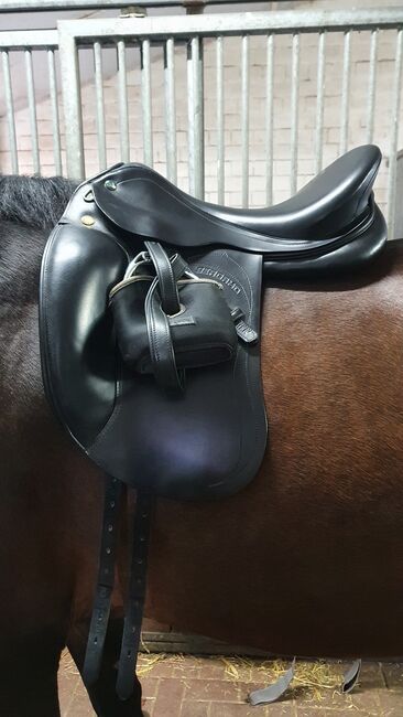 Dressursattel Prestige, Prestige Bergamo Lux, Verena , Dressage Saddle, Drensteinfurt , Image 7