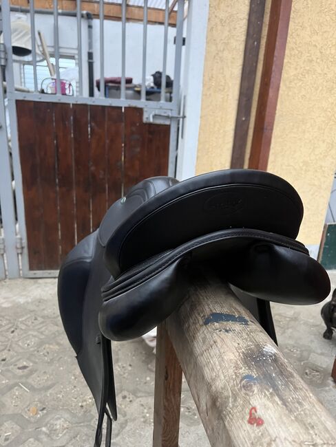 Prestige Dressursattel, Prestige  Modena volldubliert , Leni Zeibig , Dressage Saddle, Mügeln , Image 3