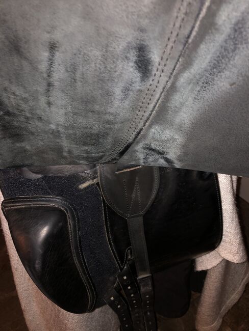 Prestige Dressursattel, Prestige  Philosophy , Heinemann Ewelina , Dressage Saddle, Warmsroth , Image 4