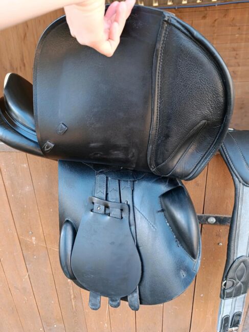 Prestige Elastic Professional 17/32, Prestige Elastic Professional, Kathrin Ruppert, Jumping Saddle, Rodgau, Image 6