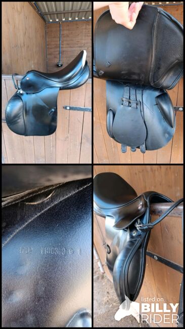 Prestige Elastic Professional 17/32, Prestige Elastic Professional, Kathrin Ruppert, Jumping Saddle, Rodgau, Image 7