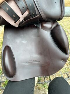 Prestige Elastico Professional, Prestige  Elastico Professional , Viktoria Groszkopf, Jumping Saddle, Baden , Image 8