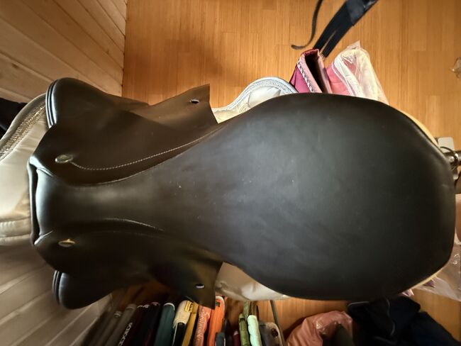 Prestige Elastic Professionell, Prestige  Elastik professionell , Angelique Anders, Jumping Saddle, Göda, Image 4