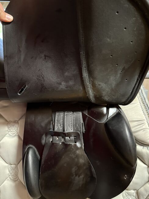 Prestige Elastic Professionell, Prestige  Elastik professionell , Angelique Anders, Jumping Saddle, Göda, Image 7