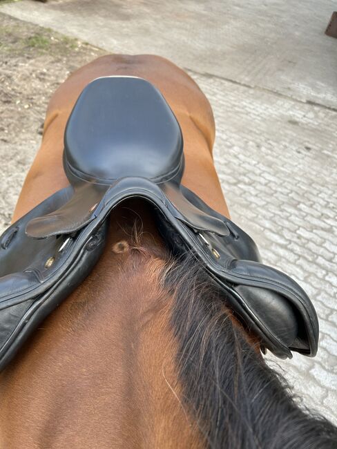 Prestige Elastic Professional Springsattel 17/36, Prestige  Elastic Professional , Leonie , Jumping Saddle, Prinzenmoor, Image 2