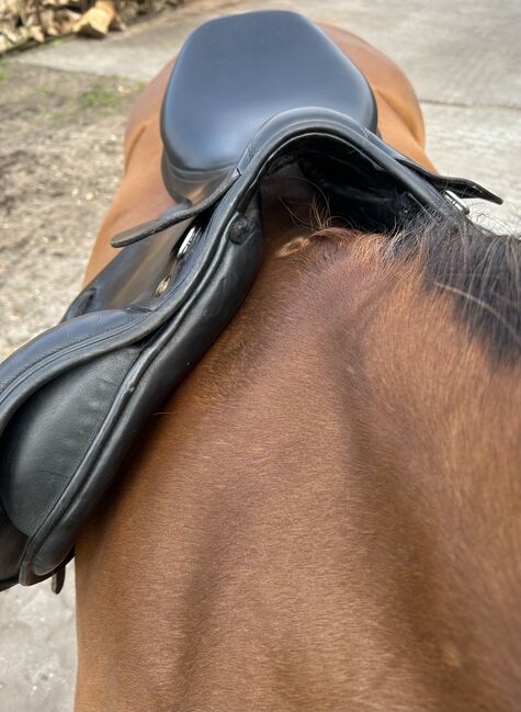 Prestige Elastic Professional Springsattel 17/36, Prestige  Elastic Professional , Leonie , Jumping Saddle, Prinzenmoor, Image 7
