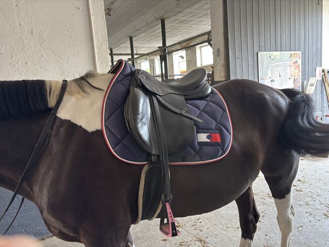 Prestige Elastic Professional Springsattel, Prestige  Elastic Professional , Aylin , Jumping Saddle, Andernach 