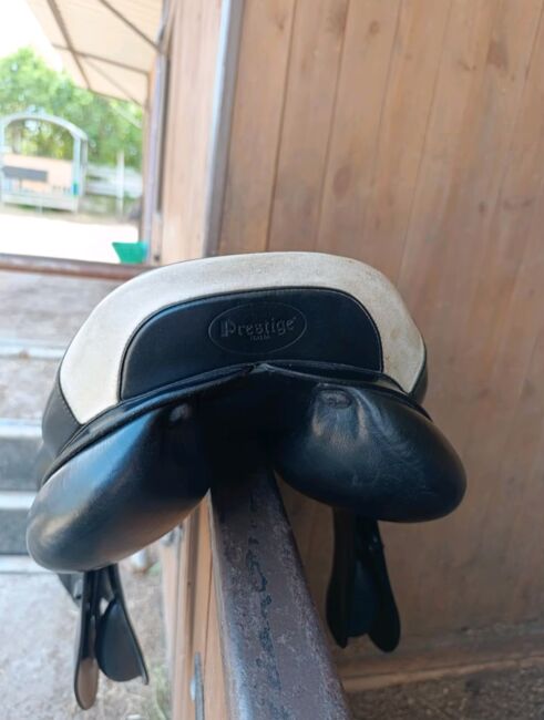 Prestige Elastic Professional, Prestige Elastic Professional, Kathrin Ruppert, Jumping Saddle, Münster, Image 3