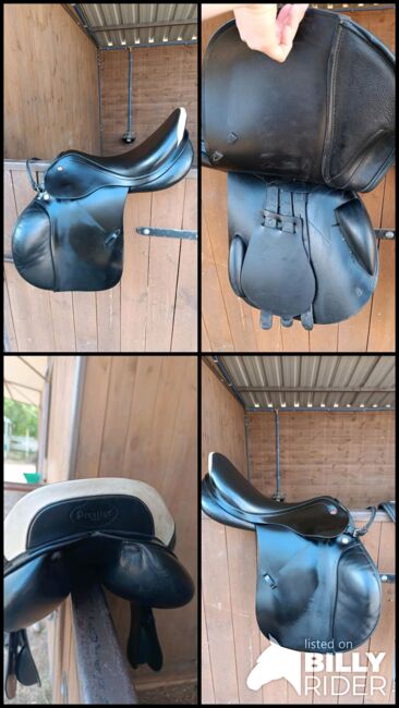 Prestige Elastic Professional, Prestige Elastic Professional, Kathrin Ruppert, Jumping Saddle, Münster, Image 7