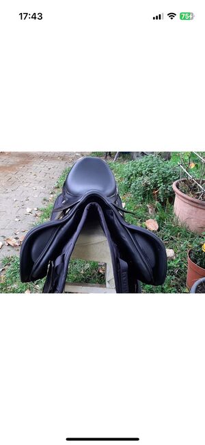 Prestige Elastic Professional Springsattel wie neu, Prestige  Elastic Professional , Anna Denter, Jumping Saddle, Greven , Image 4