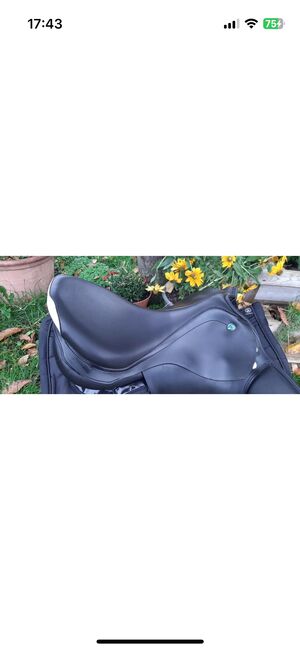 Prestige Elastic Professional Springsattel wie neu, Prestige  Elastic Professional , Anna Denter, Jumping Saddle, Greven , Image 6