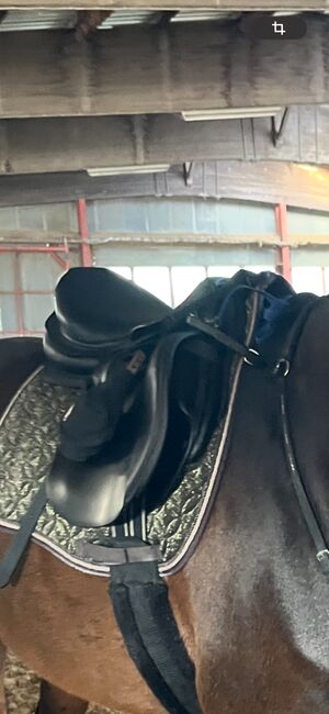 Prestige Elastic Professional Springsattel wie neu, Prestige  Elastic Professional , Anna Denter, Jumping Saddle, Greven , Image 9