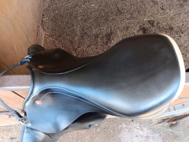 Prestige Elastic Professional 17/32, Prestige Elastic Professional, Kathrin Ruppert, Jumping Saddle, Münster, Image 4