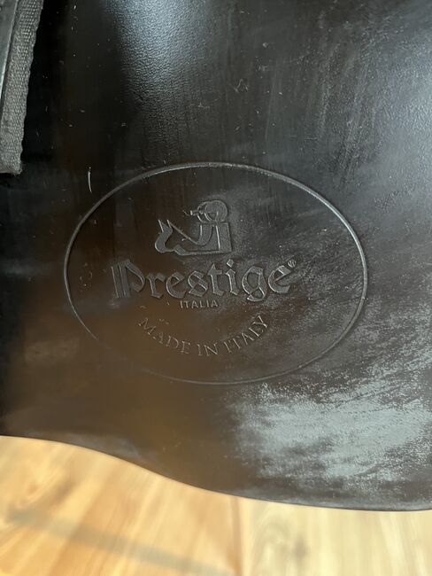 Prestige/Euroriding Dressursattel, Prestige/Euroriding Emilio, Beate Walk, Dressage Saddle, Lasbek, Image 7