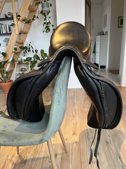 Prestige/Euroriding Dressursattel, Prestige/Euroriding Emilio, Beate Walk, Dressage Saddle, Lasbek, Image 6