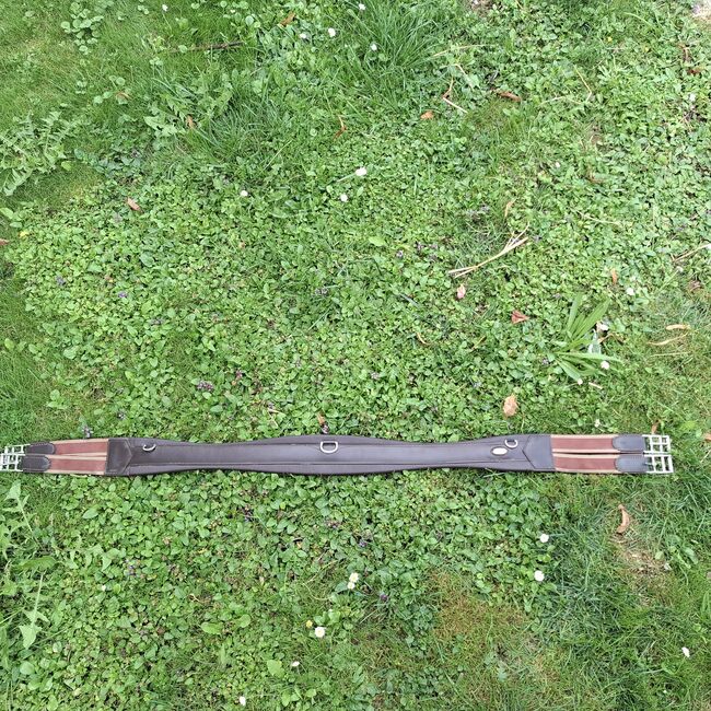 Prestige Vielseitigkeitssattel, Prestige  Roma, Sina , All Purpose Saddle, Wallern an der Trattnach , Image 4
