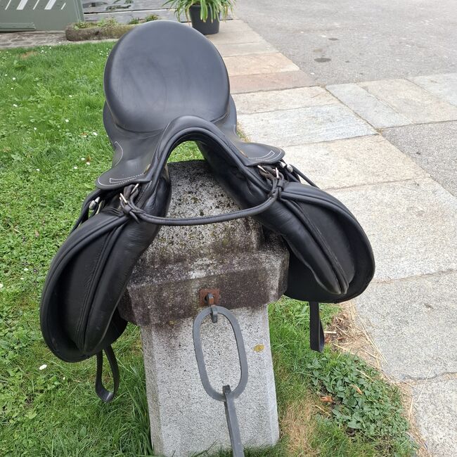 Prestige Vielseitigkeitssattel, Prestige  Roma, Sina , All Purpose Saddle, Wallern an der Trattnach , Image 5