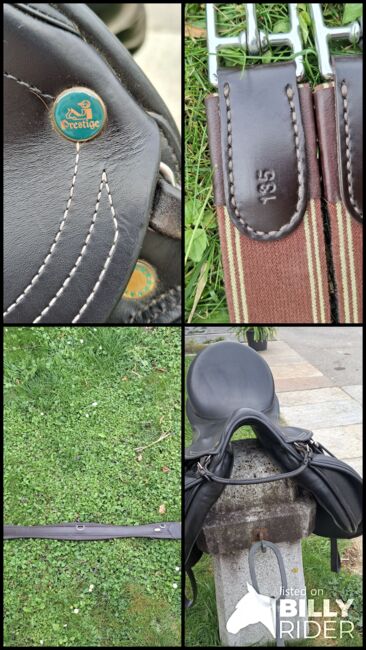 Prestige Vielseitigkeitssattel, Prestige  Roma, Sina , All Purpose Saddle, Wallern an der Trattnach , Image 8