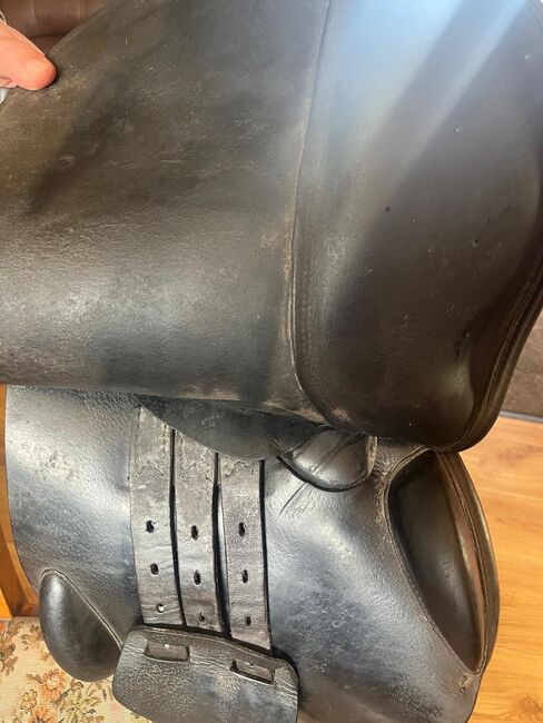 PRESTIGE Golden Star 🌟 springsattel, Prestige Golden Star, Marius Kardokas, Jumping Saddle, Kalėnai