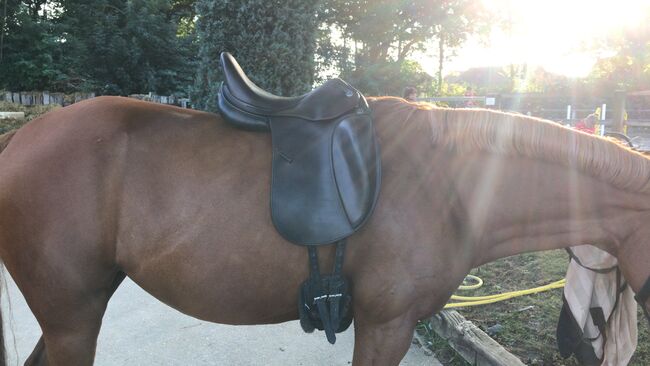 Prestige Helen X LUX - 16/33 - Dressursattel, Prestige Prestige Helen X , Skadi Lintel-Höping, Dressage Saddle, Mönchengladbach, Image 3