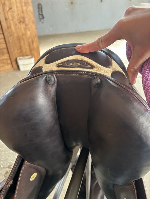 Prestige Springsattel 17 Zoll, Prestige  X-Perience, Melanie , Jumping Saddle, Meckenbeuren , Image 4
