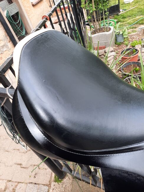 Prestige Springsattel, Prestige  Elastic Provesional , Karla Gerlach , Jumping Saddle, Ostrau, Image 3