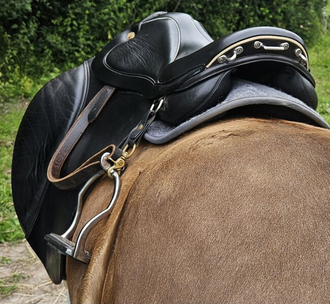 Prestige island royal, Prestige  Island royal , Sylwia , Icelandic Saddle, Kellinghusen , Image 3