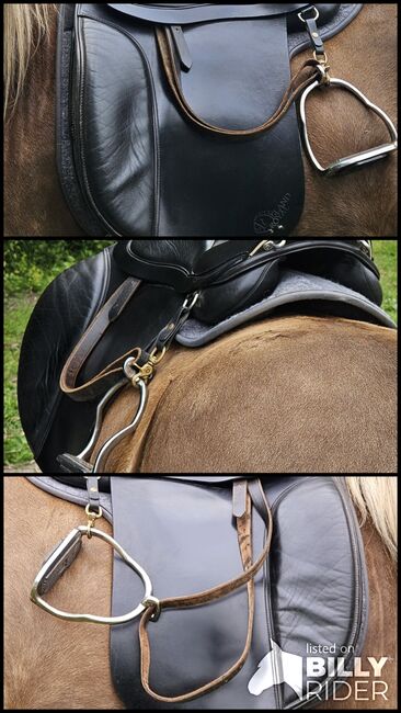 Prestige island royal, Prestige  Island royal , Sylwia , Icelandic Saddle, Kellinghusen , Image 4