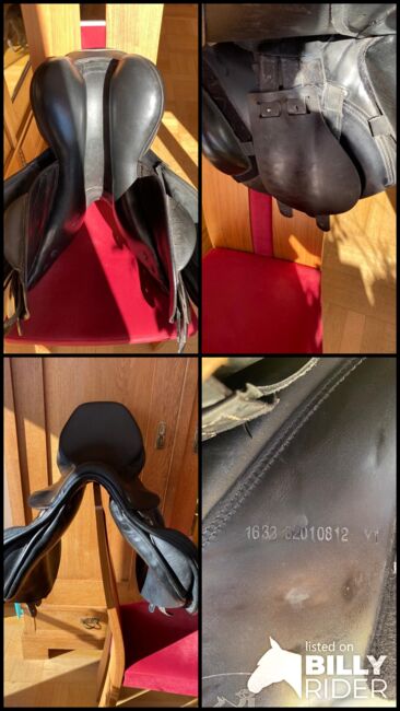 Prestige Joy Jumper, Prestige  Joy Jumper, Lisa Schlabe, Jumping Saddle, Dornhan, Image 11