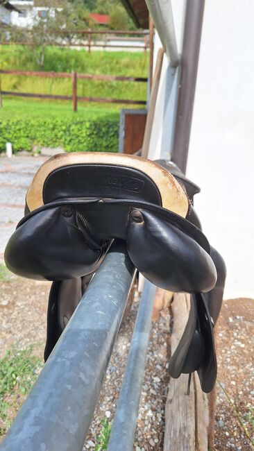 Prestige Springsattel, Prestige Elastic Professional, Theresa Stampfl, Jumping Saddle, Thaur, Image 3