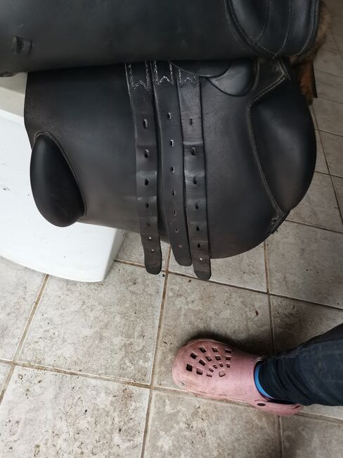 Prestige Springsattel Elastic Provesional, Prestige  Elastic Provesional , Karla Gerlach , Jumping Saddle, Ostrau, Image 5