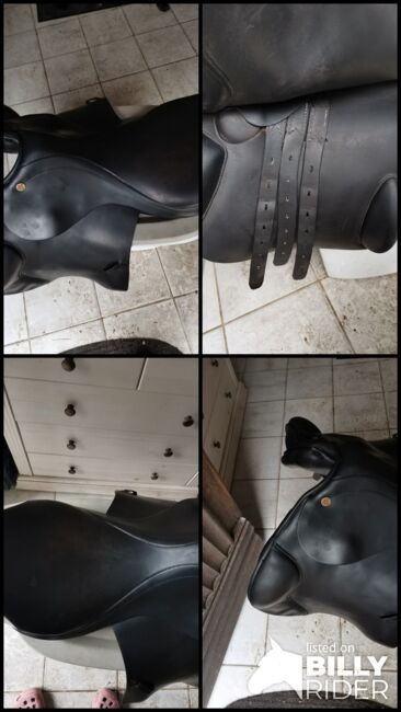 Prestige Springsattel Elastic Provesional, Prestige  Elastic Provesional , Karla Gerlach , Jumping Saddle, Ostrau, Image 8