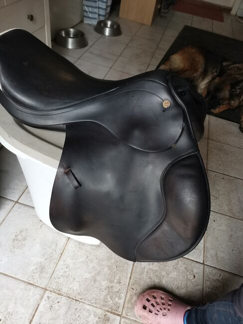 Prestige Springsattel Elastic Provesional, Prestige  Elastic Provesional , Karla Gerlach , Jumping Saddle, Ostrau, Image 4