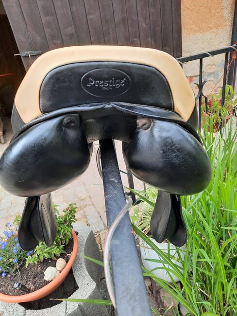 Prestige Springsattel, Prestige  Elastic Provesional , Karla Gerlach , Jumping Saddle, Ostrau, Image 4