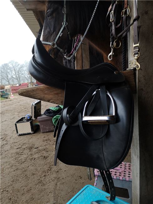 Prestige Leonardo, Prestige Leonardo, Anna , Dressage Saddle, Appel, Image 2